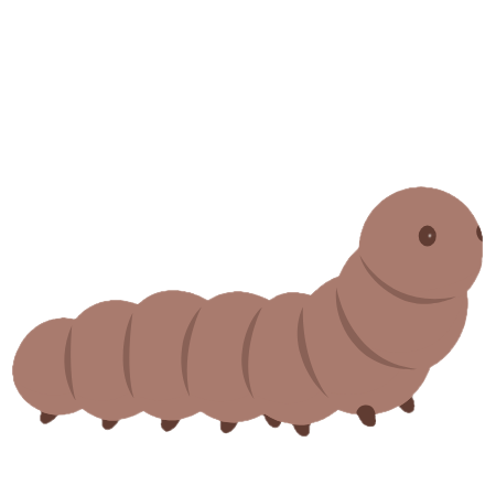 caterpillar
